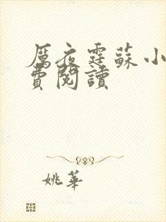 厉夜霆苏小汐免费阅读