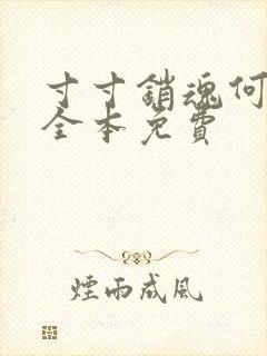 寸寸销魂何生祥全本免费