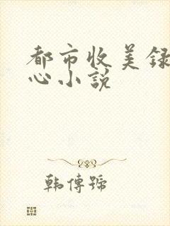 都市收美录宁素心小说