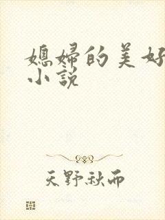 媳妇的美好时代小说