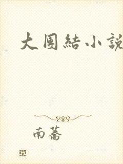 大团结小说全文