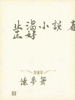 止渴小说 春光正好