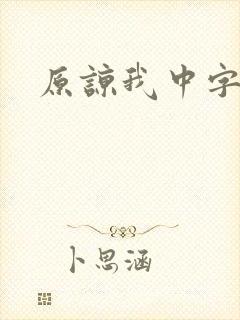 原谅我中字