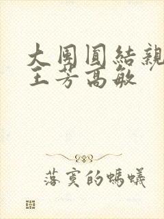 大团圆结亲情会王芳高敏封面