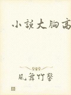 小说大胸高h封面