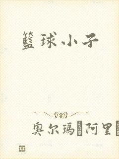 篮球小子