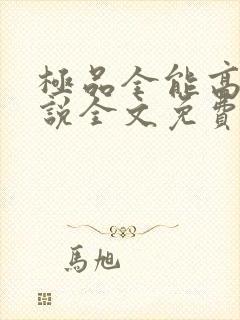 极品全能高手小说全文免费阅读下载封面