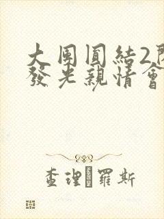 大团圆结2闪闪发光亲情会