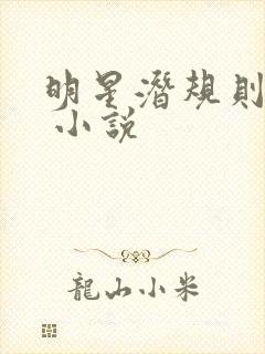 明星潜规则之皇 小说封面