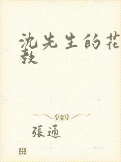 沈先生的花式管教