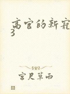 高官的新宠1V3封面