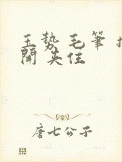 玉势 毛笔 撑开 夹住