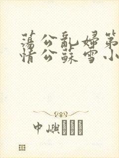 荡公乱妇第1章情公苏雪小说