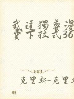 武道独尊漫画免费下拉式36漫画