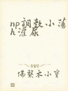 np调教小荡货h灌尿