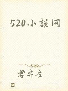 520小说网