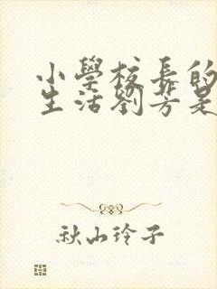 小学校长的幸福生活刘芳是谁封面