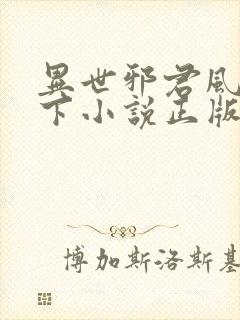 异世邪君风凌天下小说正版封面