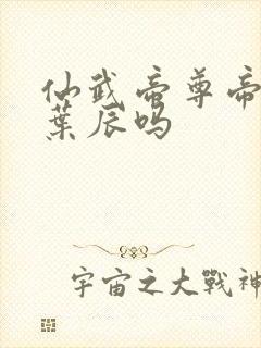 仙武帝尊帝荒是叶辰吗