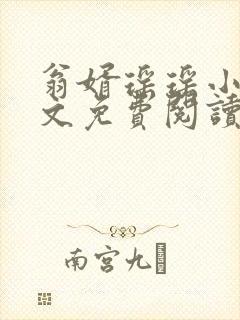 翁婿瑶瑶小说全文免费阅读最新章节封面