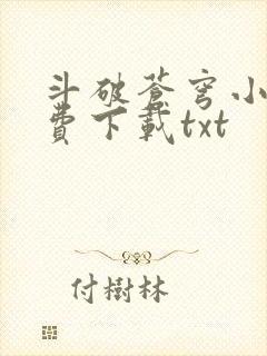 斗破苍穹小说免费下载txt封面