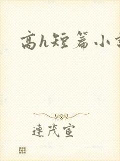 高h短篇小说封面