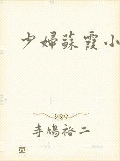 少妇苏霞小说封面