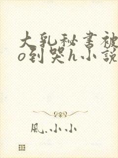 大乳秘书被cao到哭h小说