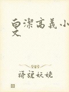 白洁高义小说全文