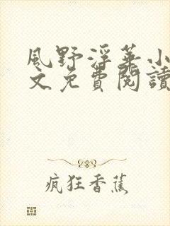 风野浮华小说全文免费阅读无弹窗
