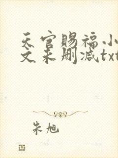 天官赐福小说全文未删减txt