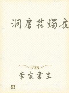 洞房花烛夜小说