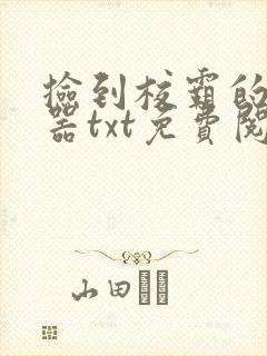 捡到校霸的遥控器txt免费阅读封面