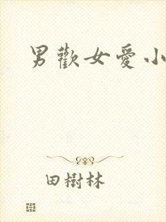 男欢女爱小说