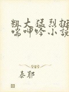 粗大猛烈挺进娇喘呻吟小说封面