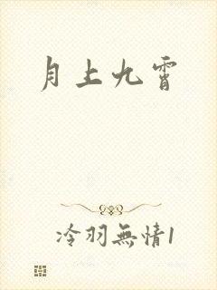 月上九霄封面