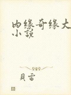 内缘奇缘大团圆小说