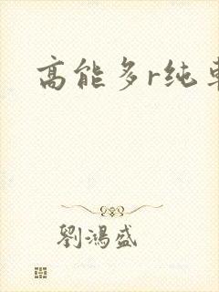 高能多r纯车