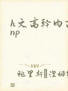 h文高干肉高辣np封面