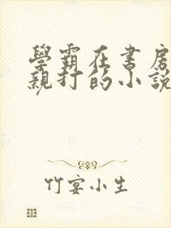 学霸在书房挨父亲打的小说叫什么封面