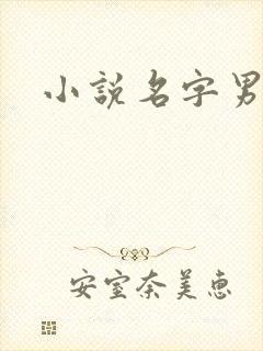 小说名字男生