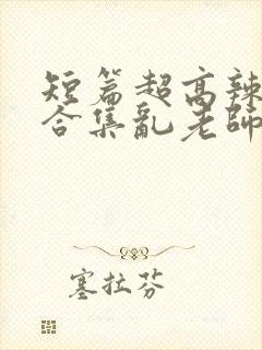 短篇超高辣h文合集乱老师封面