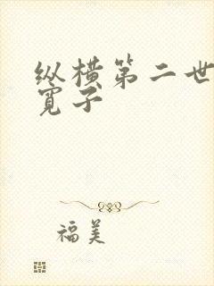 纵横第二世界 宽子