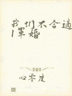 我们不合适1v1军婚封面