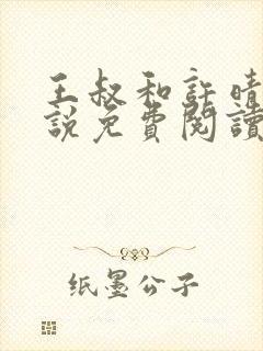 王叔和许晴的小说免费阅读无弹窗