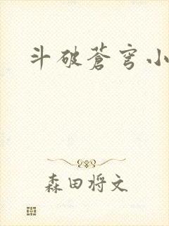 斗破苍穹小说封面
