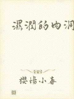 湿润的肉洞