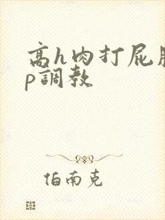 高h肉打屁股sp调教封面