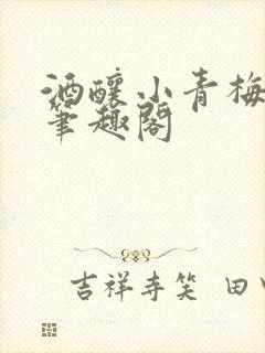 酒酿小青梅po笔趣阁