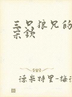 三只狼兄的宠妻宋钦